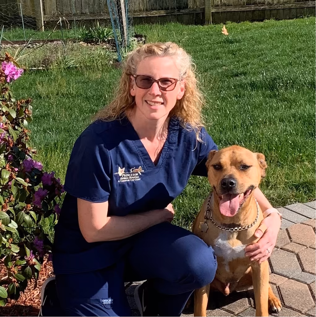 staff profile