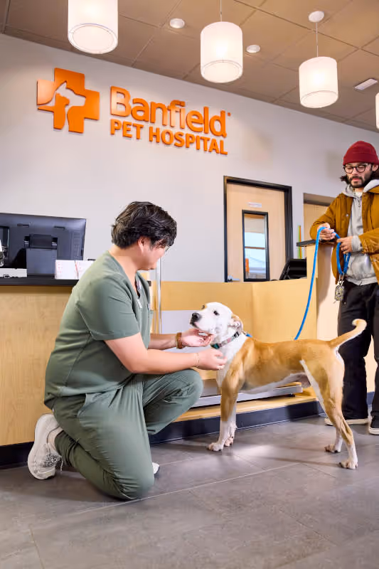 facility profile image