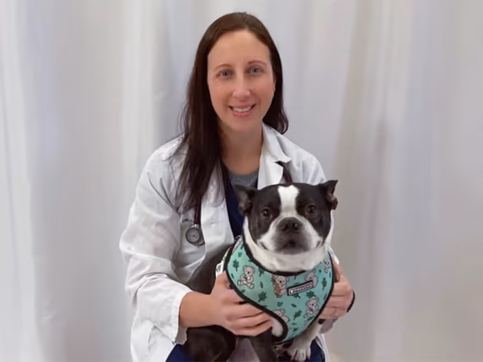 staff profile