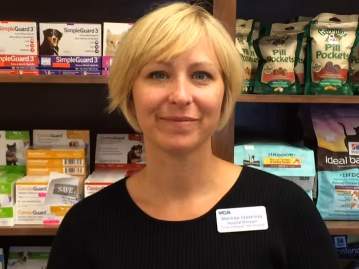 staff profile