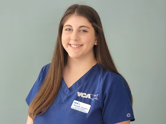 staff profile