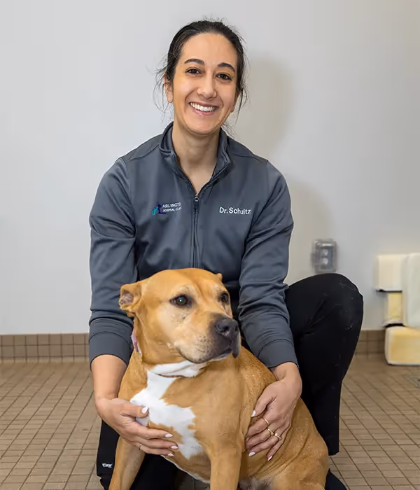 staff profile