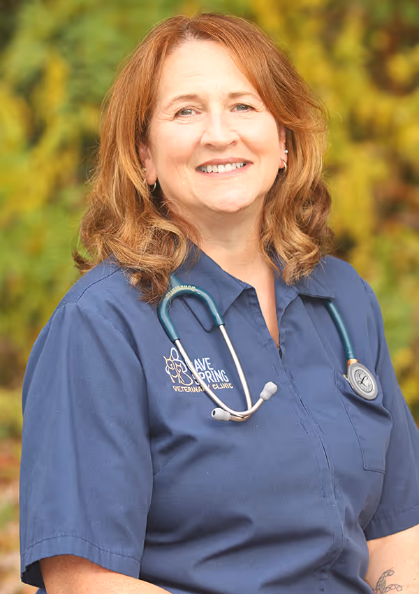 staff profile