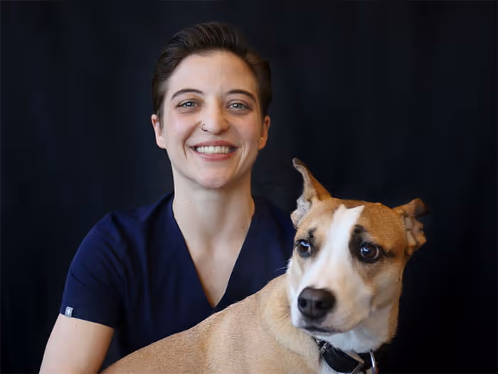 staff profile
