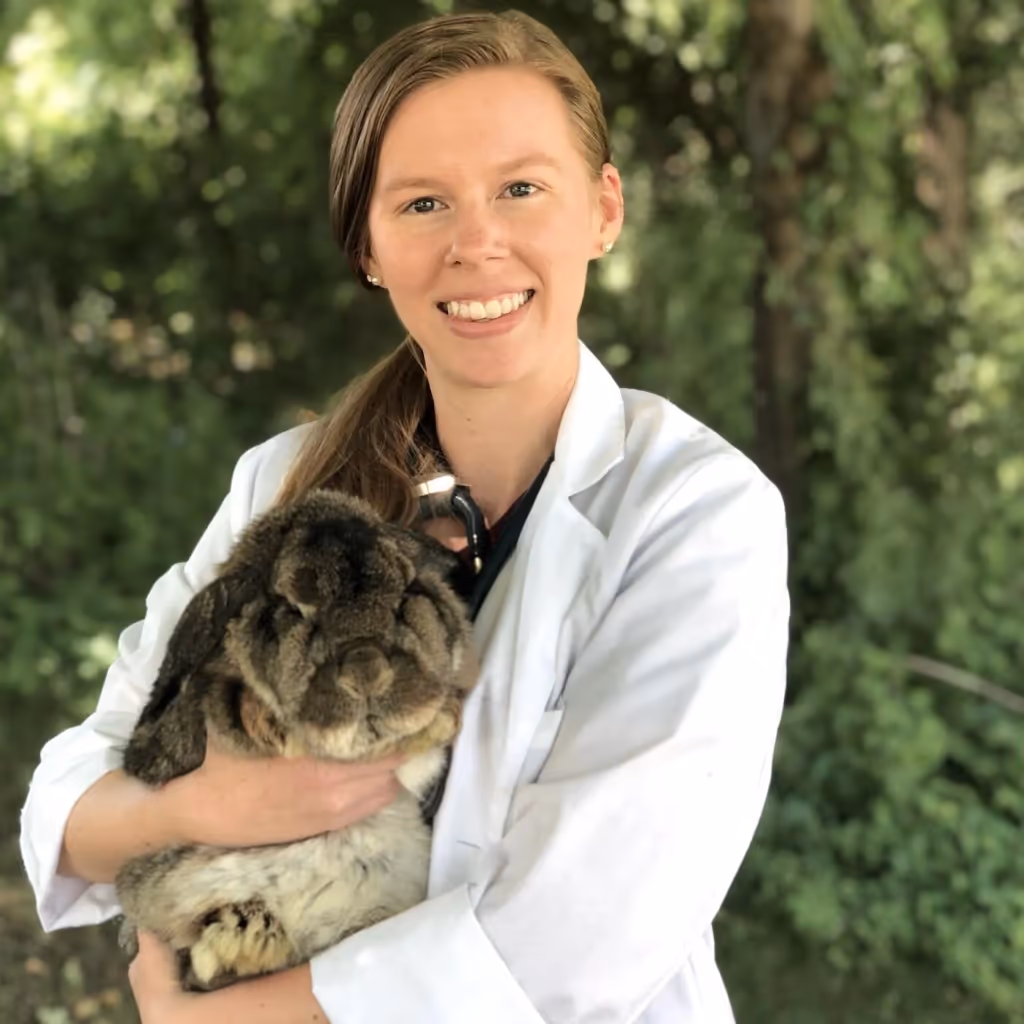 staff profile