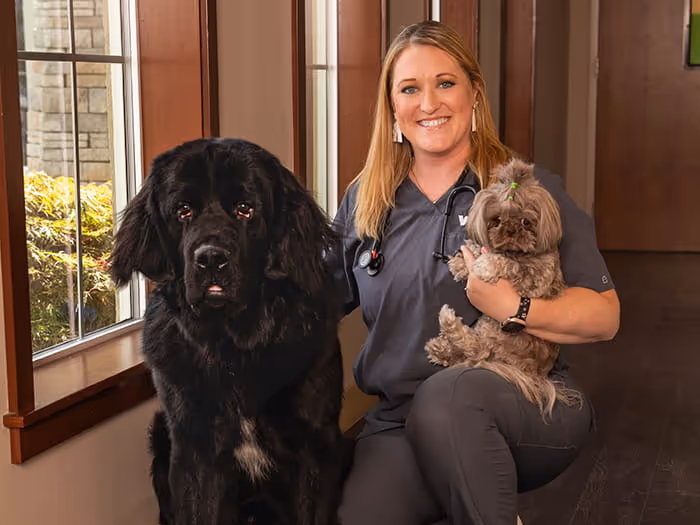staff profile