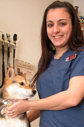 staff profile