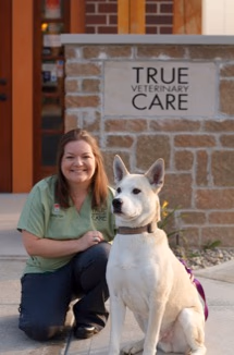 staff profile
