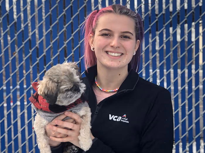 staff profile