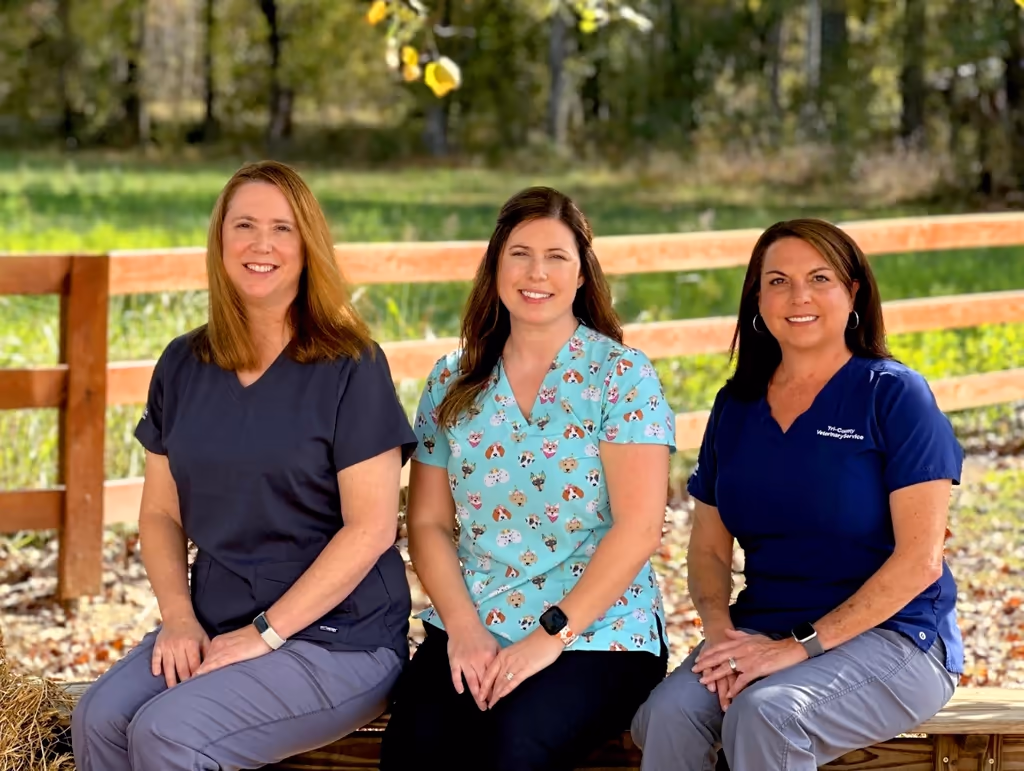 staff profile