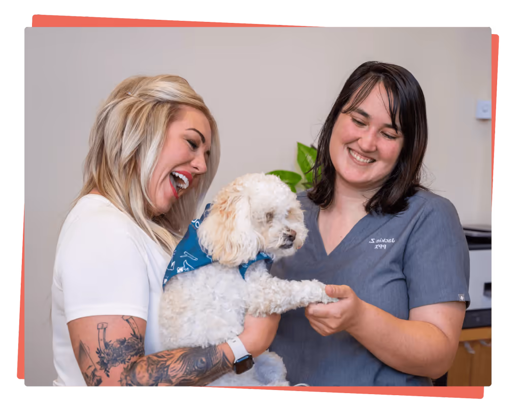 staff profile