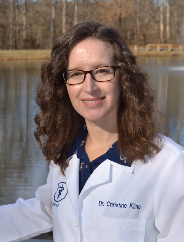 staff profile