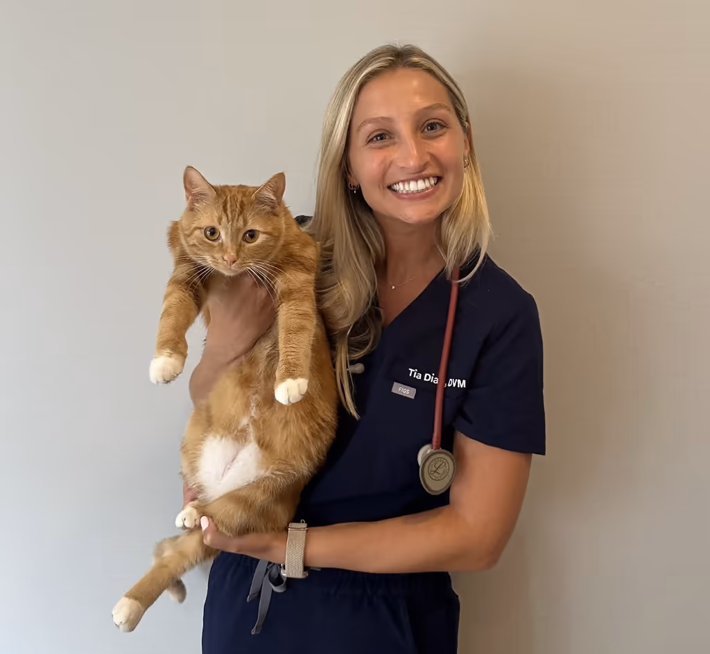 staff profile