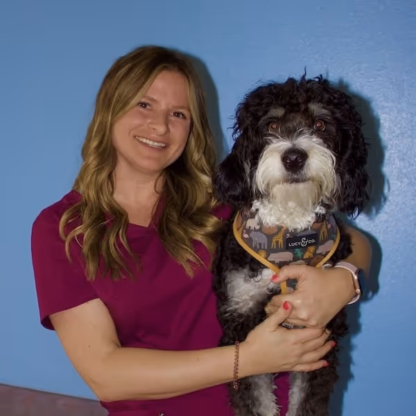 staff profile