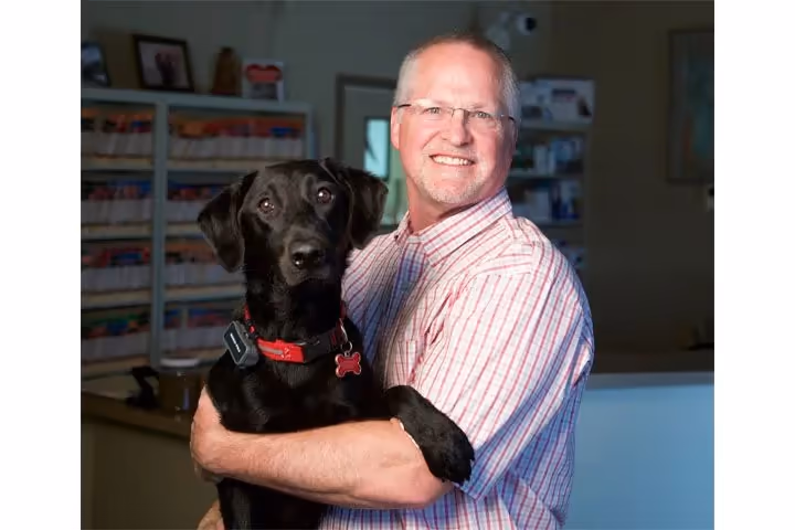 staff profile