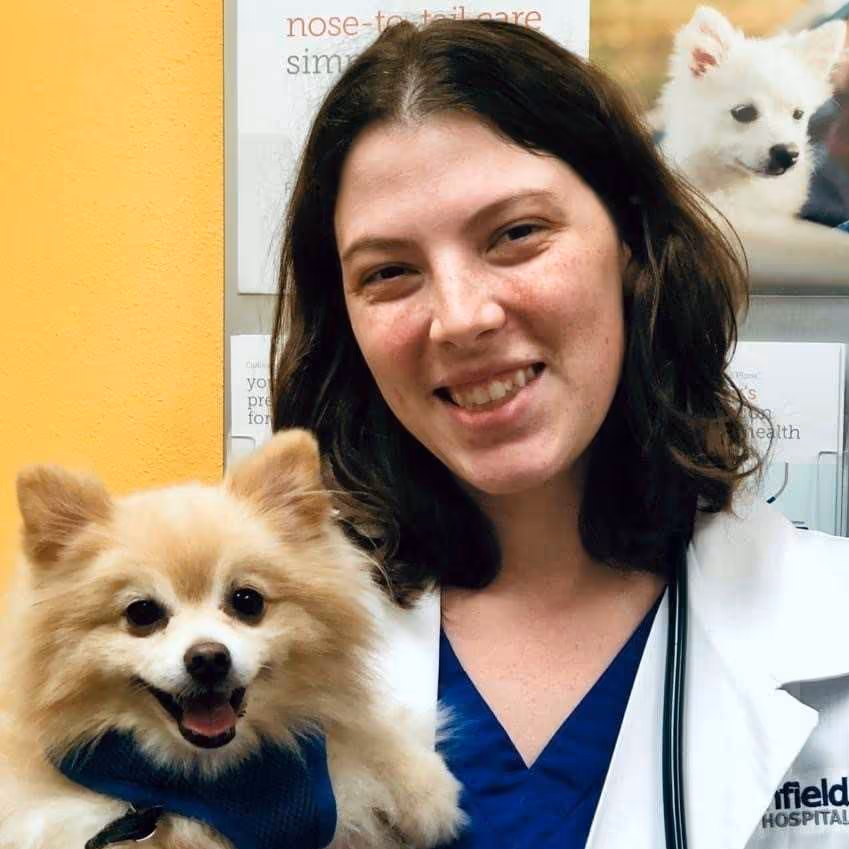 staff profile