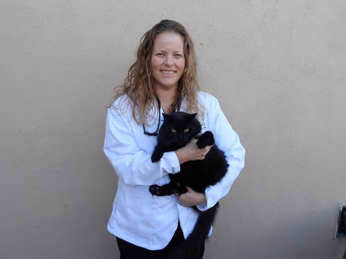 staff profile