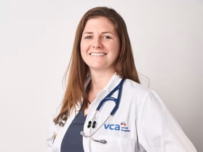 staff profile