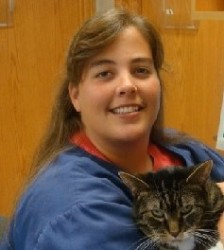 staff profile