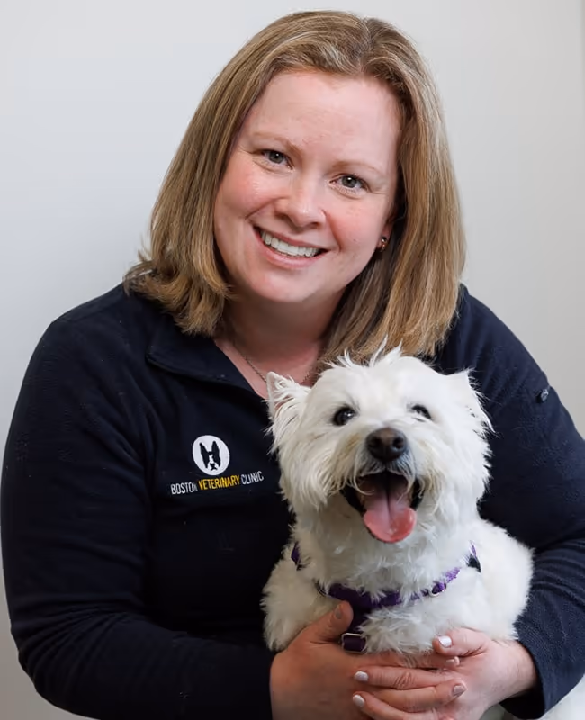 staff profile
