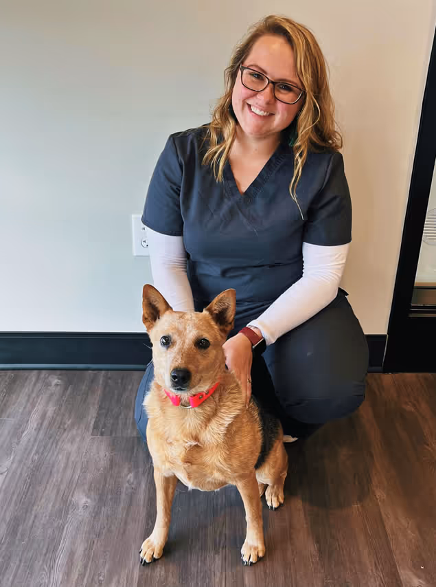 staff profile