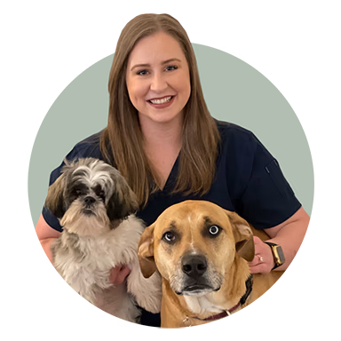 staff profile
