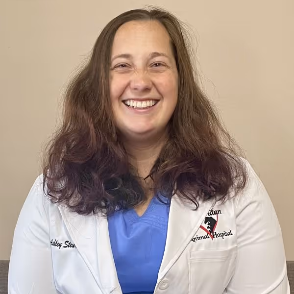 staff profile
