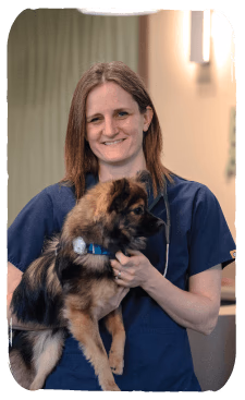 staff profile