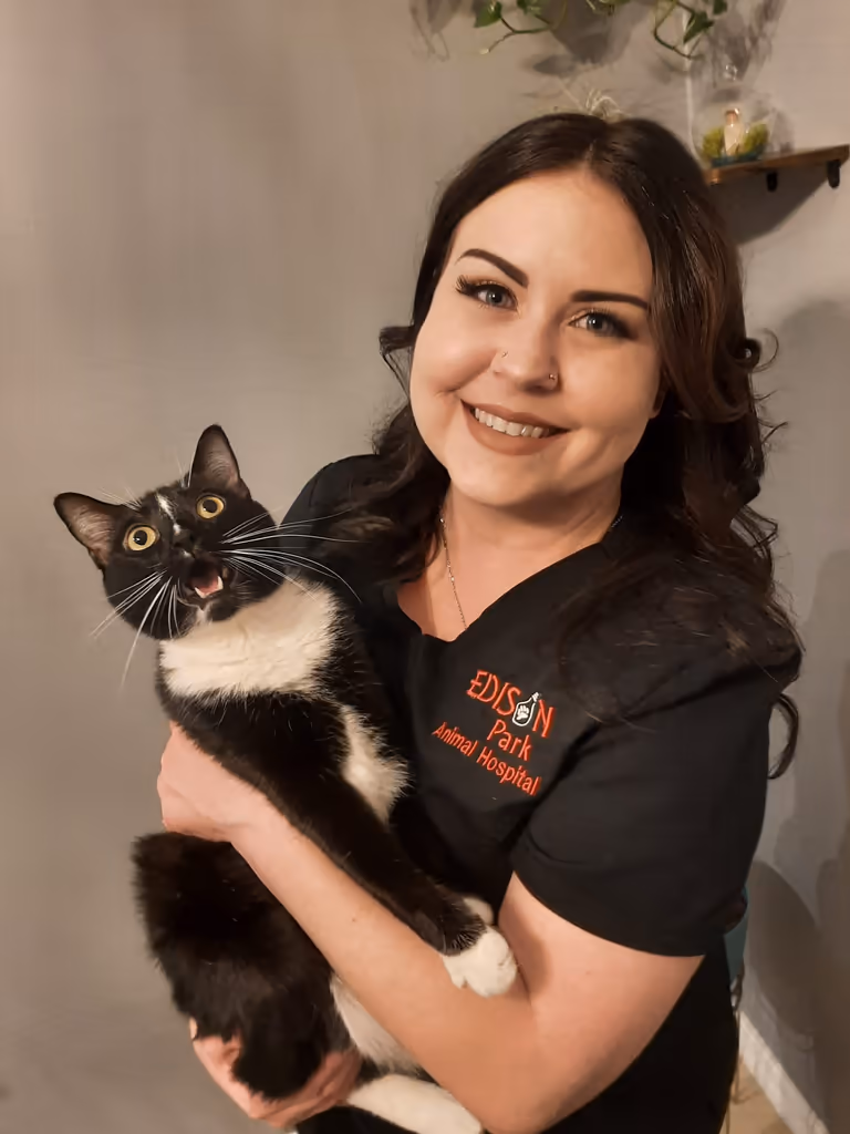 staff profile