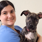 staff profile