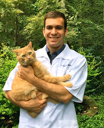 staff profile