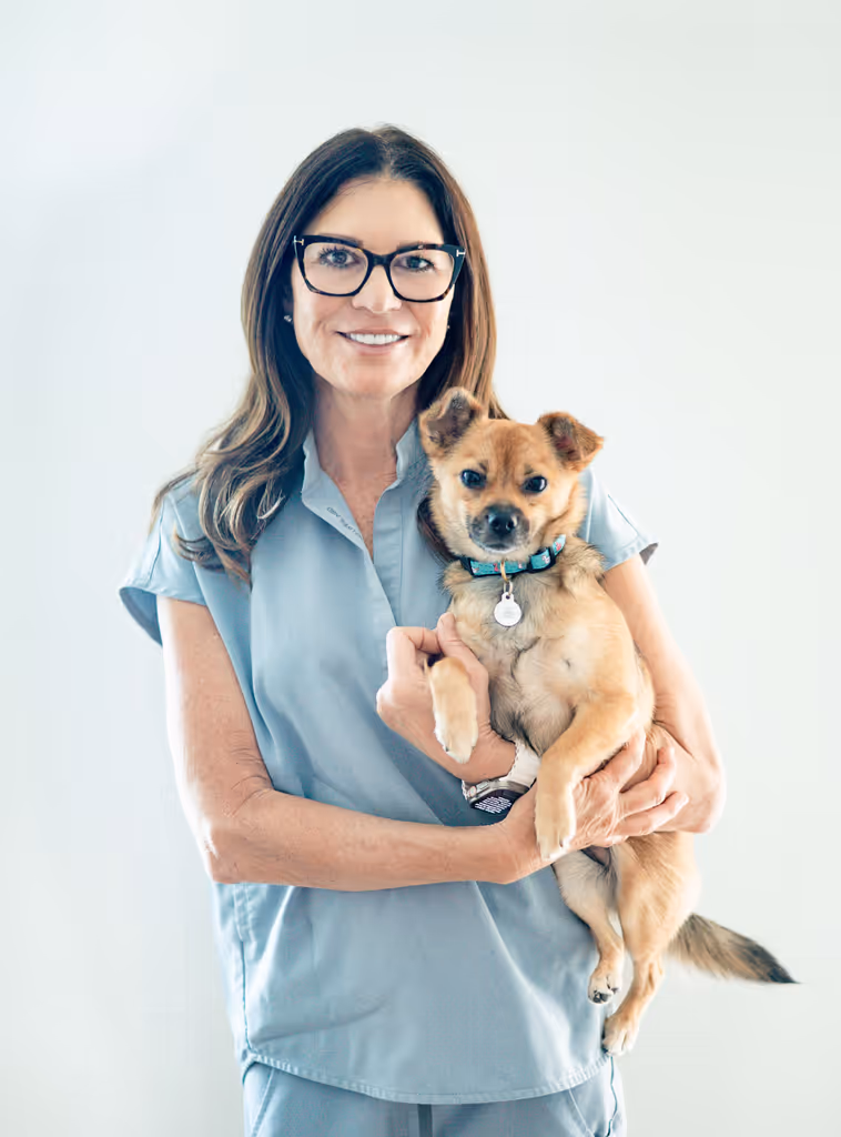 staff profile