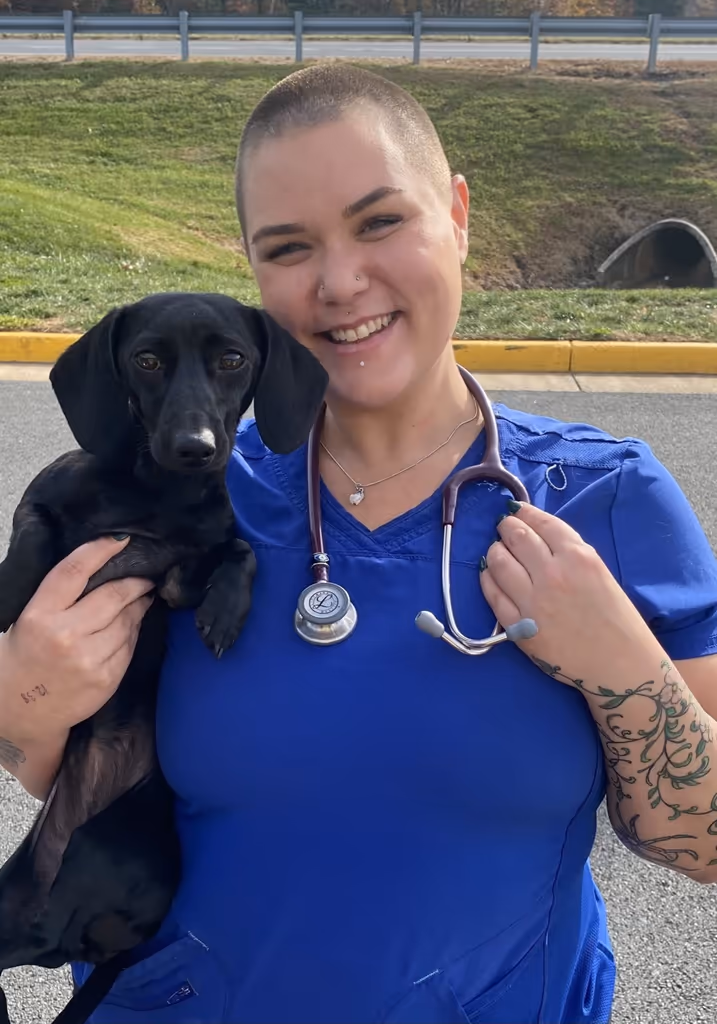 staff profile