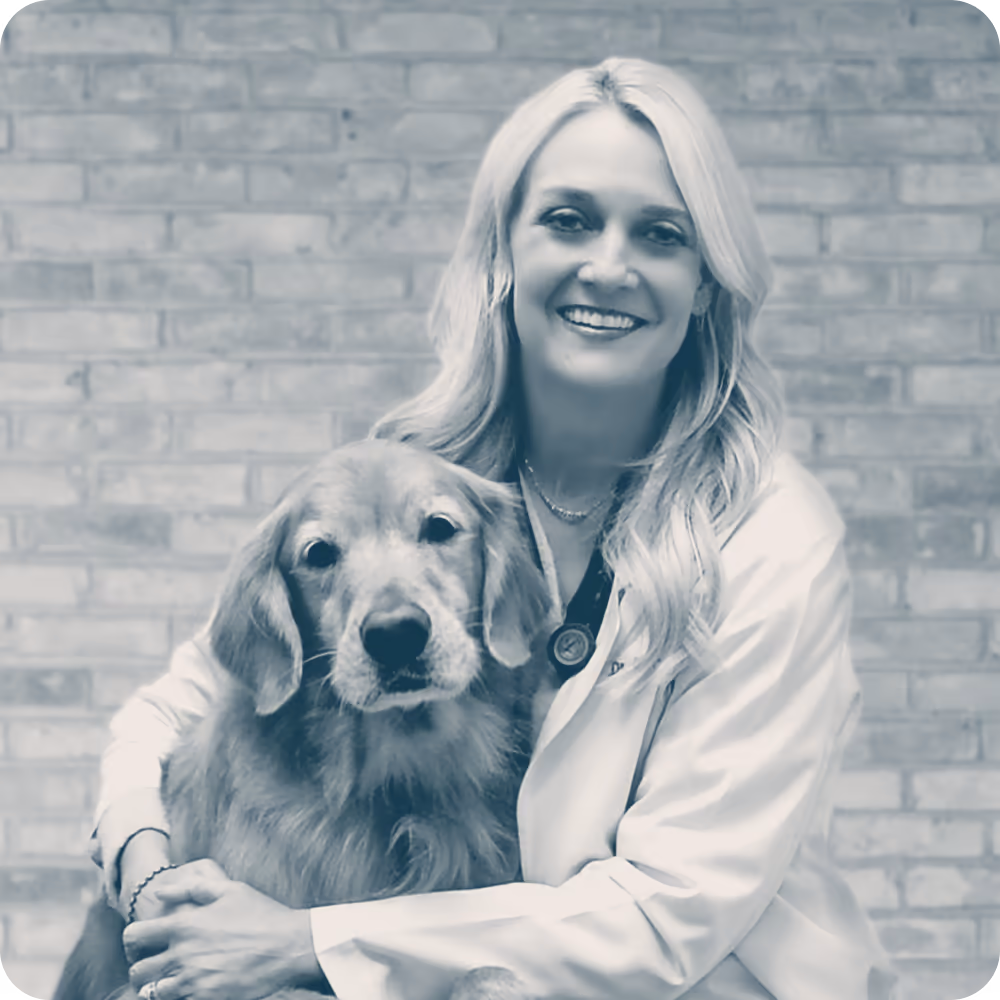staff profile