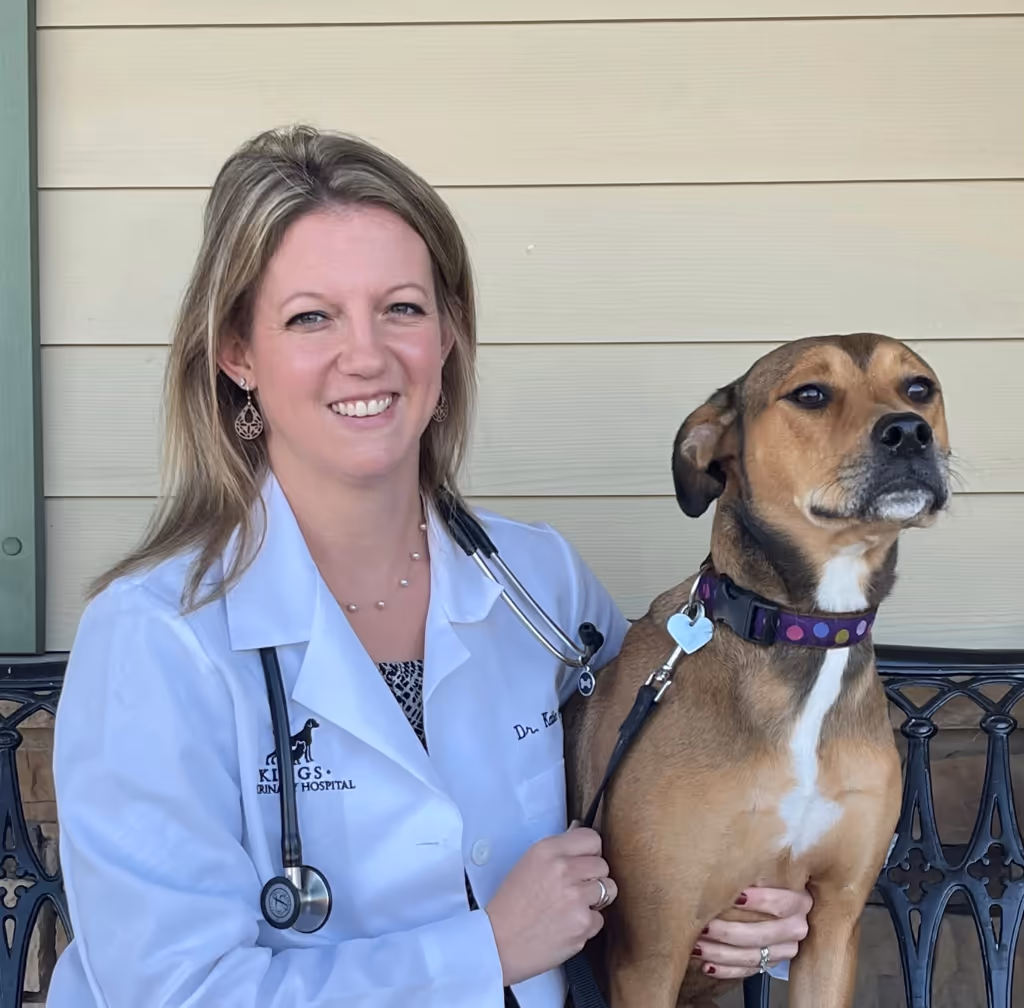staff profile