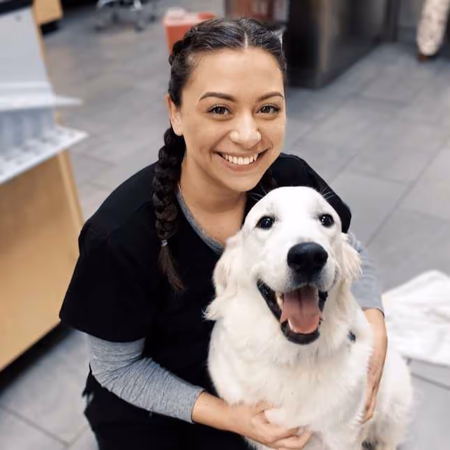 staff profile