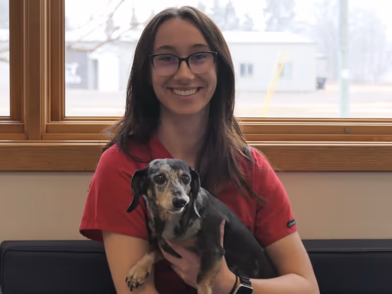 staff profile