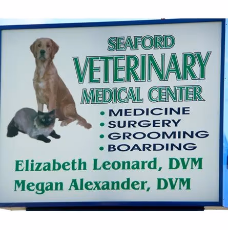 staff profile