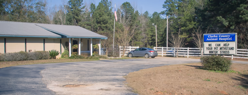 Clarke County Animal Hospital - Pet services facility