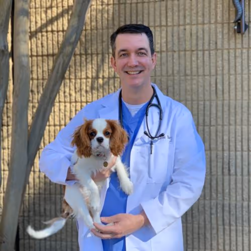 staff profile