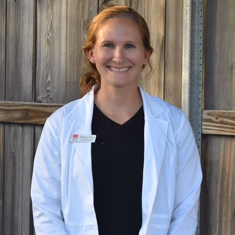 staff profile
