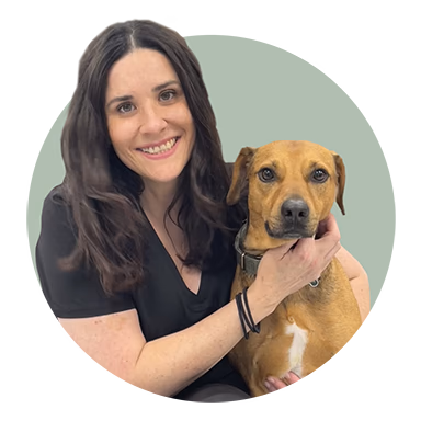 staff profile
