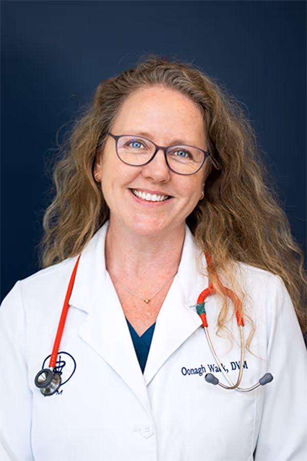 staff profile