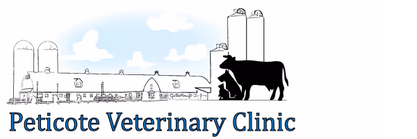 facility profile image