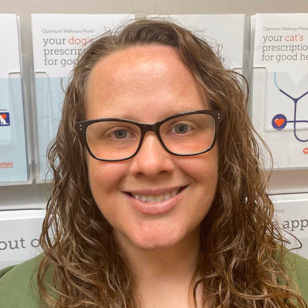 staff profile