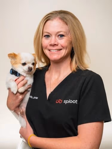 staff profile