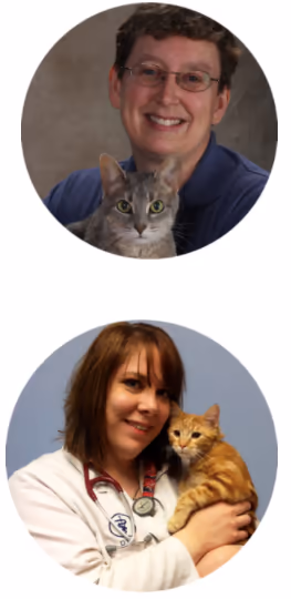 facility profile image