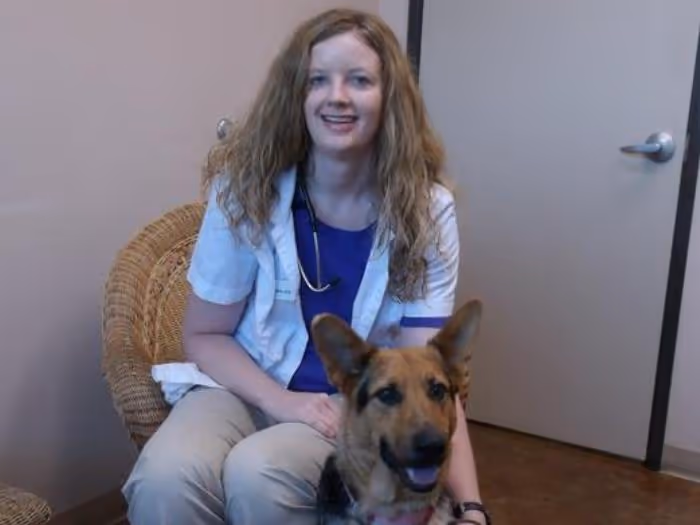 staff profile