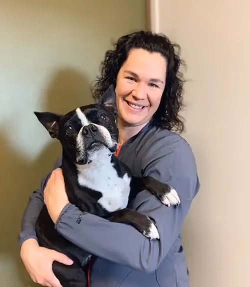 staff profile