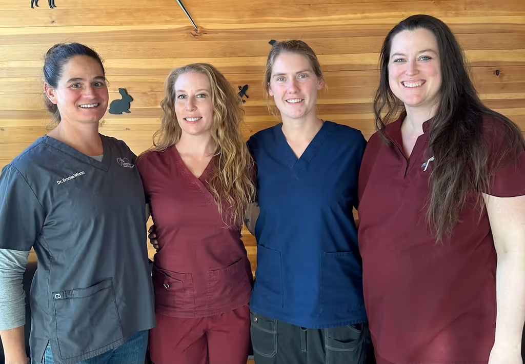 staff profile